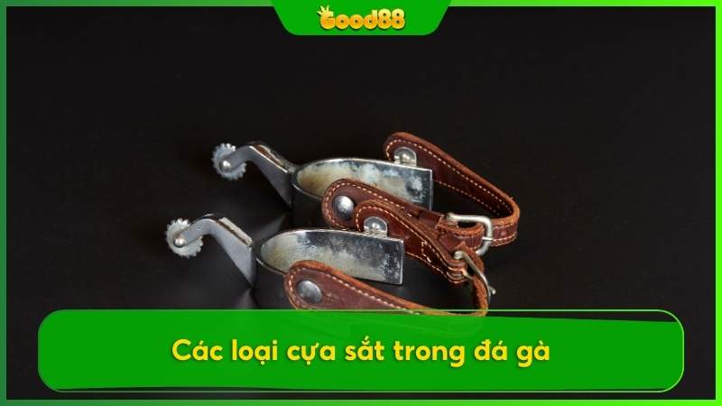 Các loại cựa sắt trong đá gà