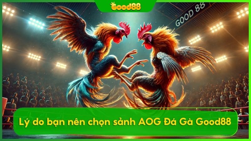 Ưu điểm khi tham gia cá cược đá gà tại AOG