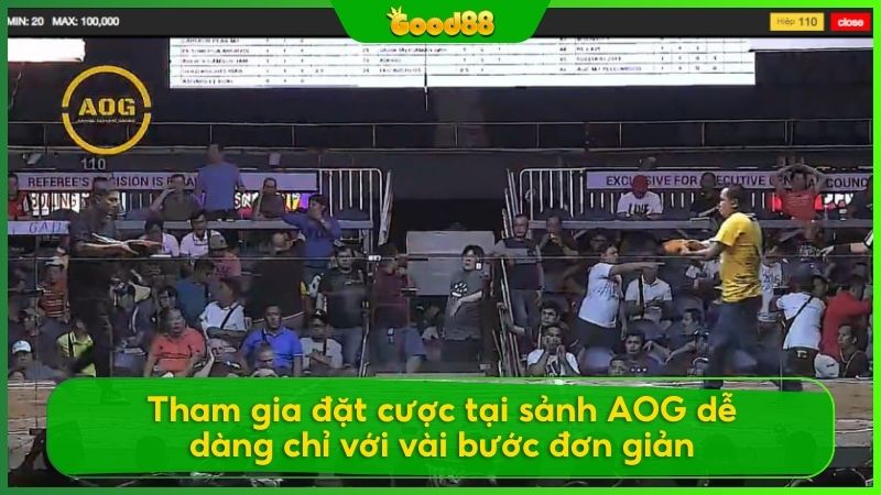 Chỉ vài thao tác đơn giản bạn đã có thể tham gia cá cược tại AOG Đá Gà Good88