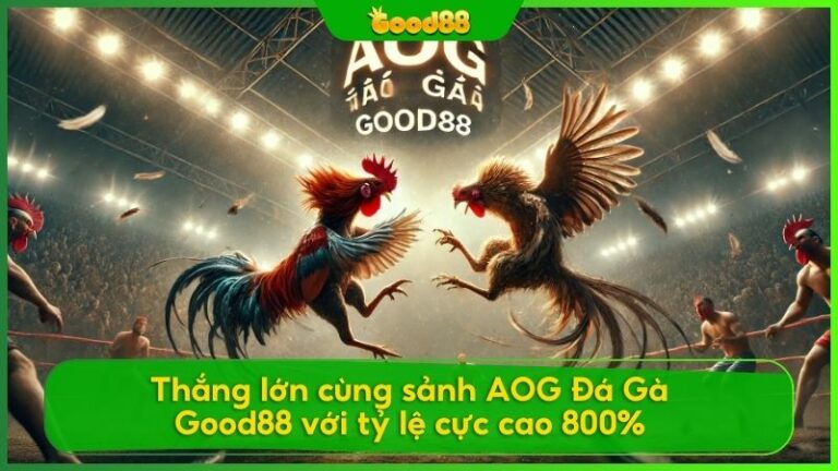 Thắng lớn cùng sảnh AOG Đá Gà Good88 với tỷ lệ cực cao 800%